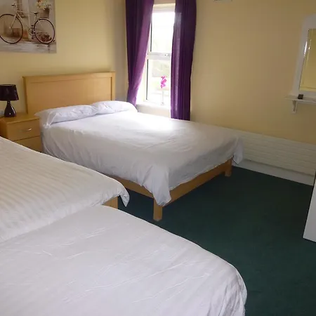 Walsh's Bridge אורחן ניופורט