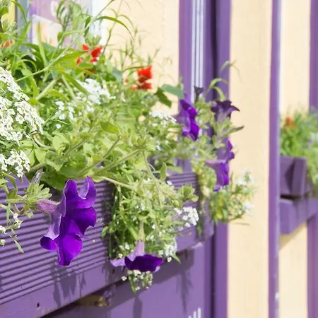 Herberg Walsh's Bridge Newport (Mayo)