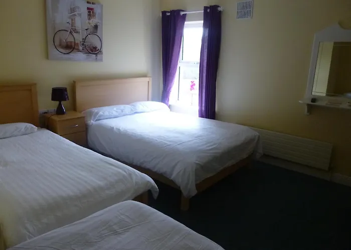 宾馆 Walsh's Bridge 3*