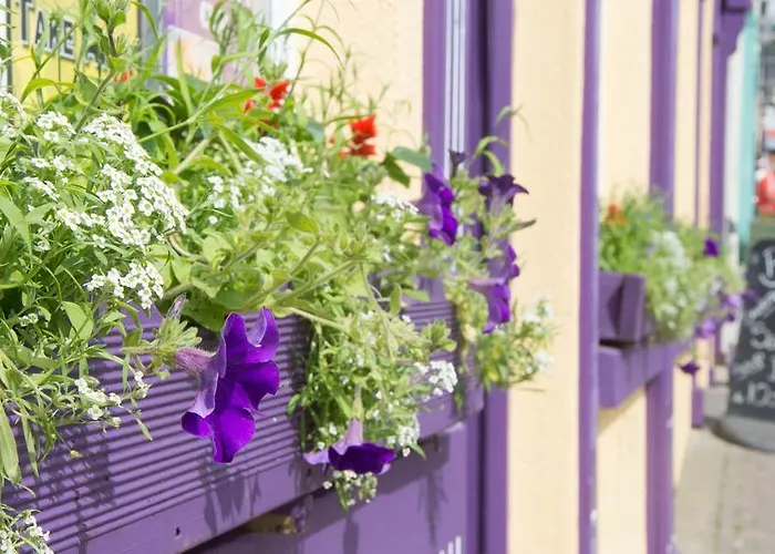 Han/Misafirhane Walsh's Bridge Newport (Mayo)